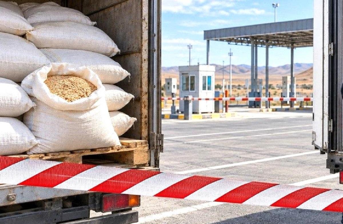 Зараженную партию ячменя пытались ввезти из России в Казахстан - изображение
