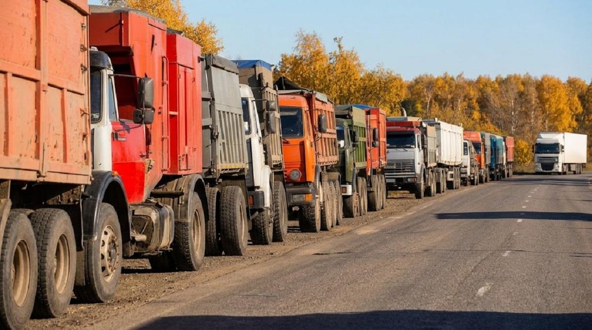 Российский подсолнечник массово скупают маслозаводы Казахстана – Союз полеводов - изображение