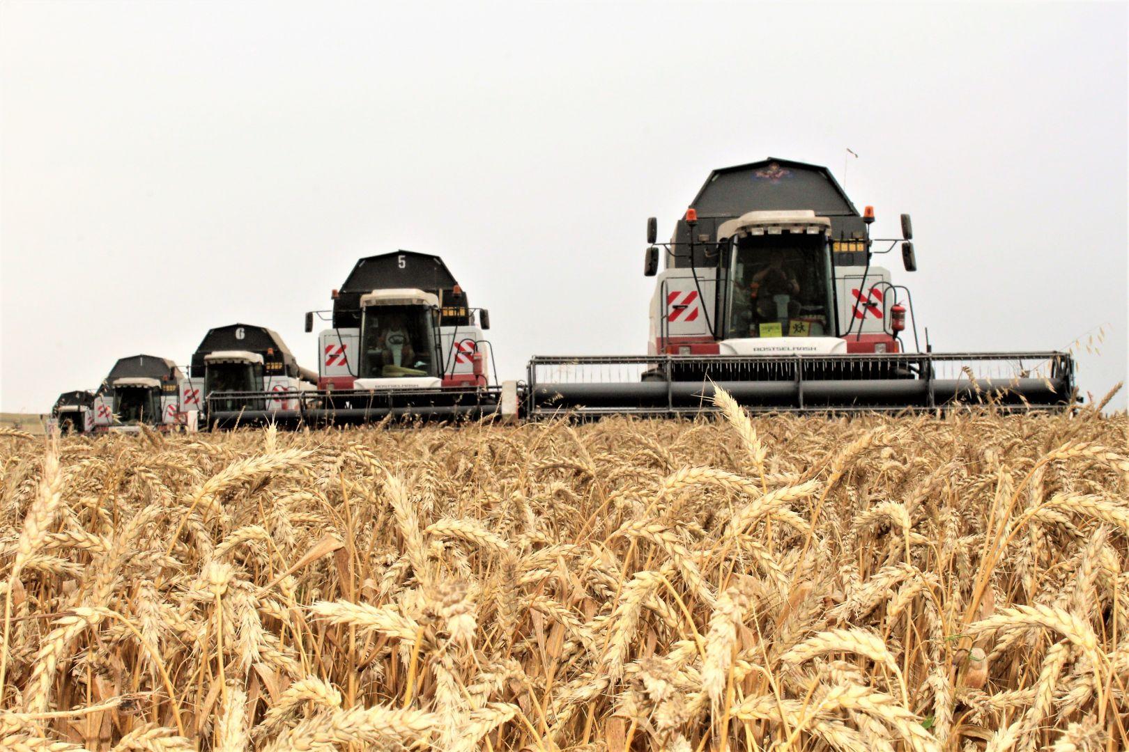 Урожай зерна в России превысил 152 млн тонн